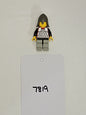 Kings Knight - Castle - Lego Minifigure